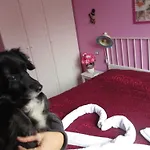 25 Rooms B&B